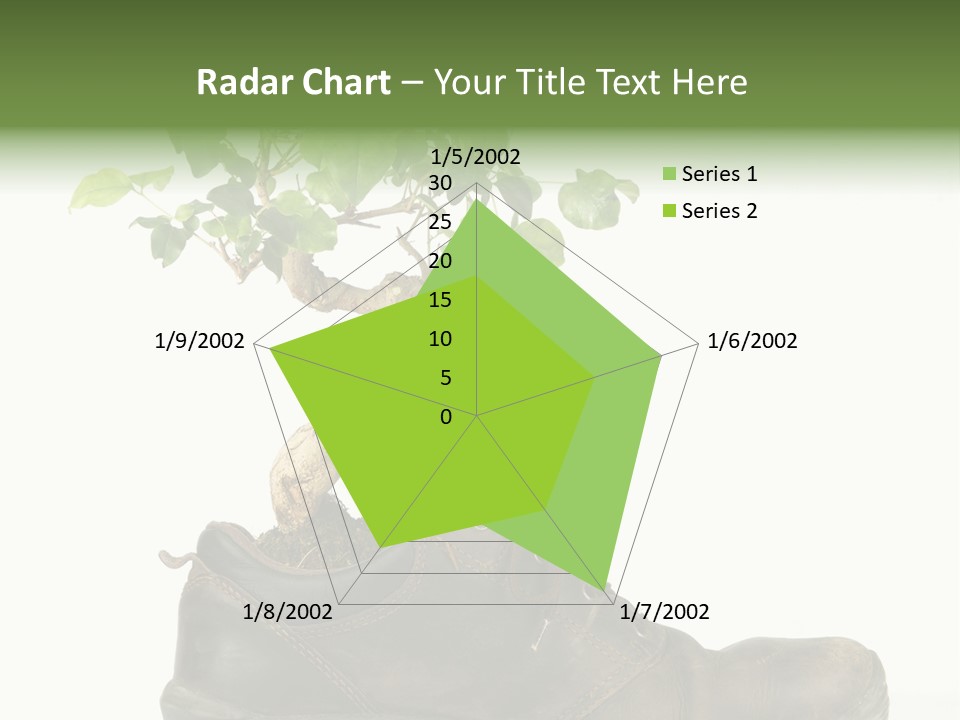 Plant Bonsai Zen PowerPoint Template