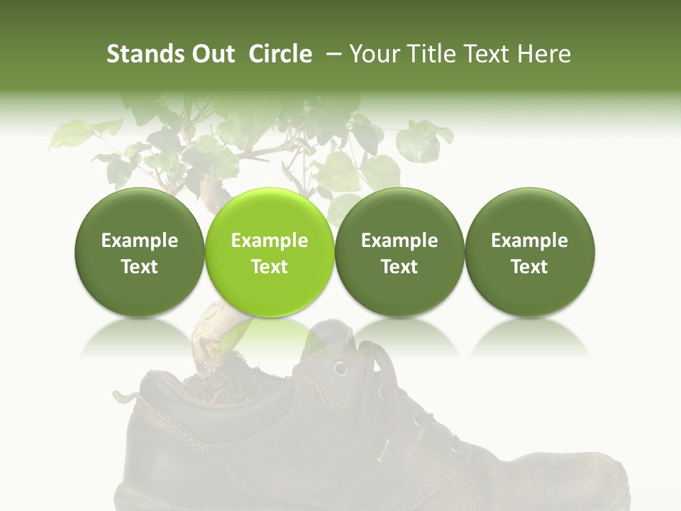 Plant Bonsai Zen PowerPoint Template