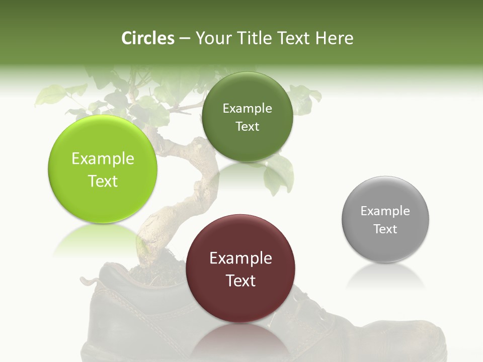 Plant Bonsai Zen PowerPoint Template