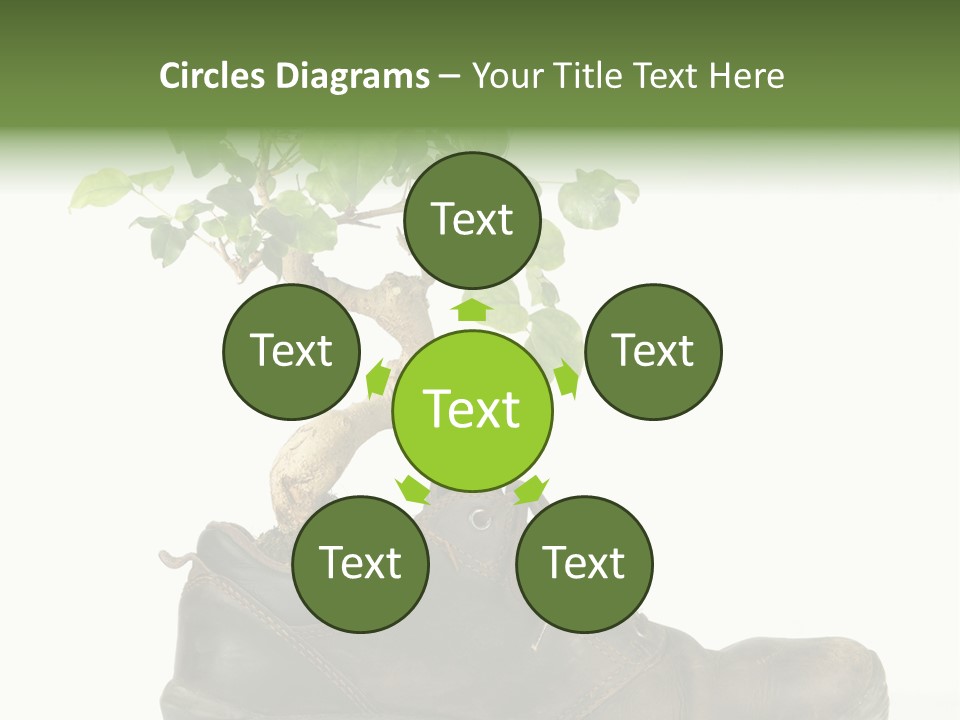 Plant Bonsai Zen PowerPoint Template