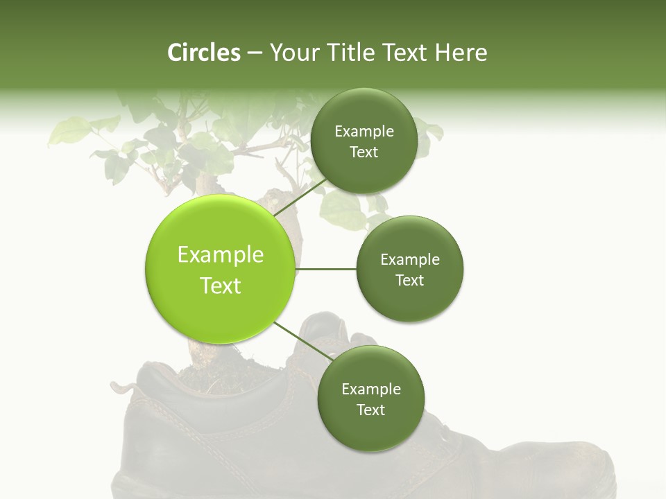 Plant Bonsai Zen PowerPoint Template