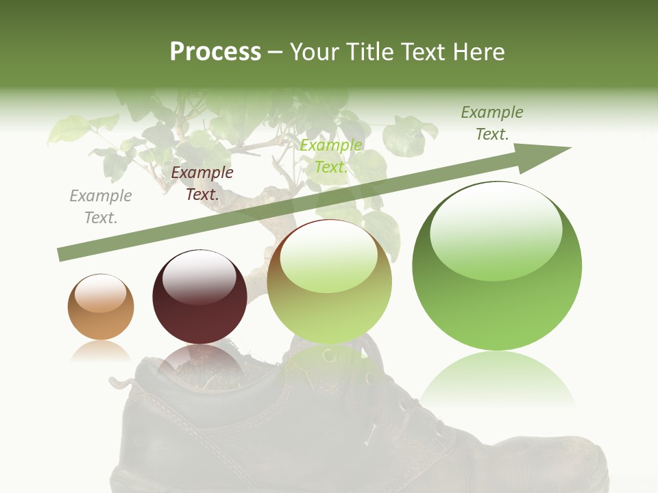 Plant Bonsai Zen PowerPoint Template