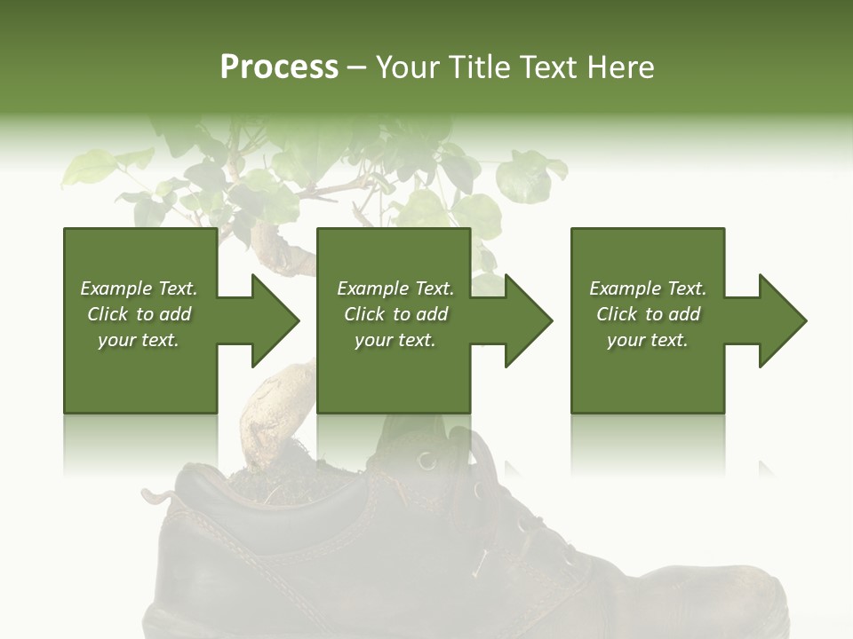 Plant Bonsai Zen PowerPoint Template