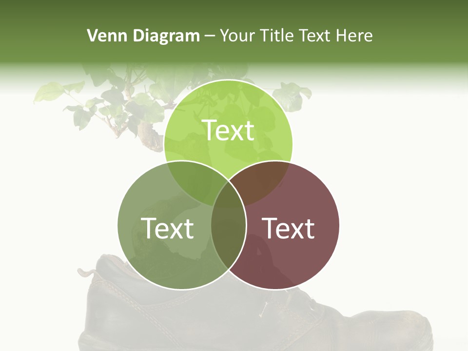 Plant Bonsai Zen PowerPoint Template
