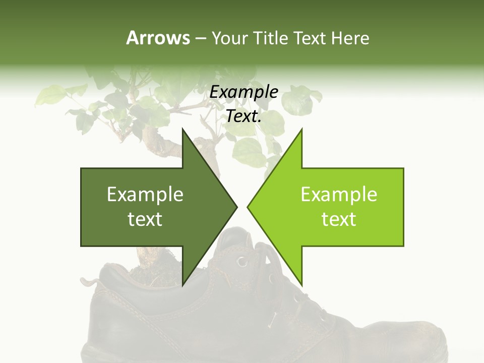 Plant Bonsai Zen PowerPoint Template