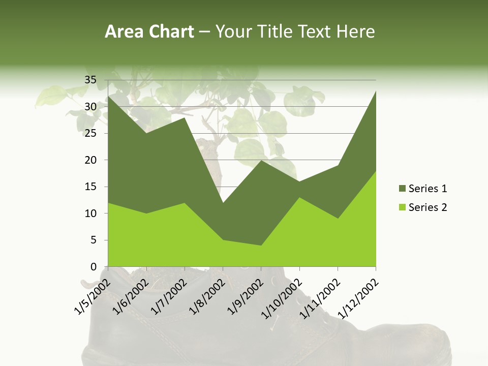 Plant Bonsai Zen PowerPoint Template
