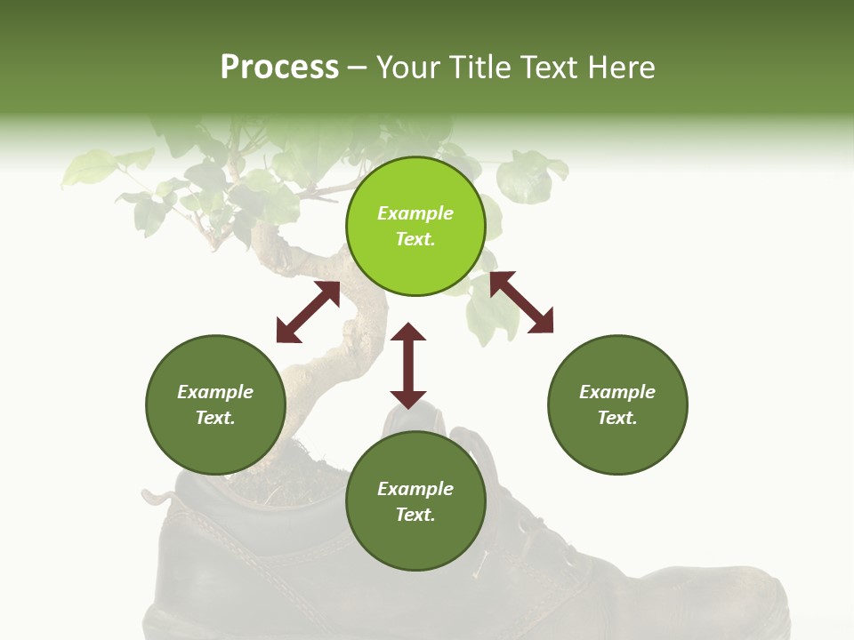 Plant Bonsai Zen PowerPoint Template
