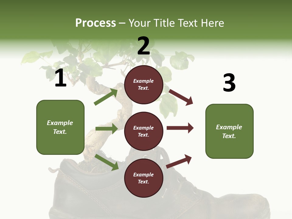 Plant Bonsai Zen PowerPoint Template