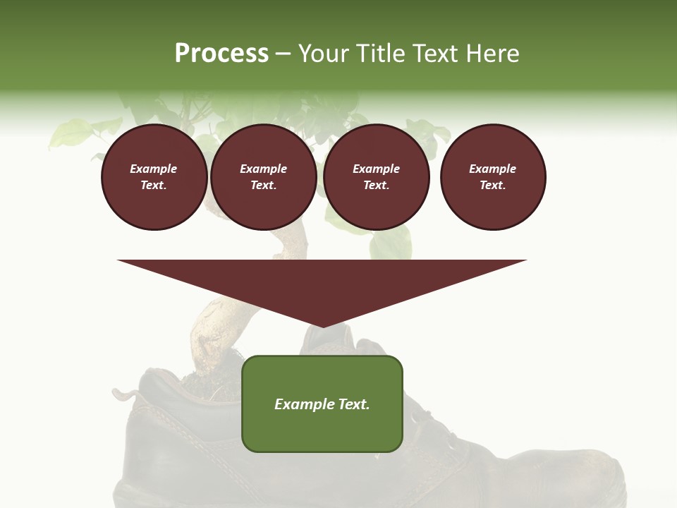 Plant Bonsai Zen PowerPoint Template