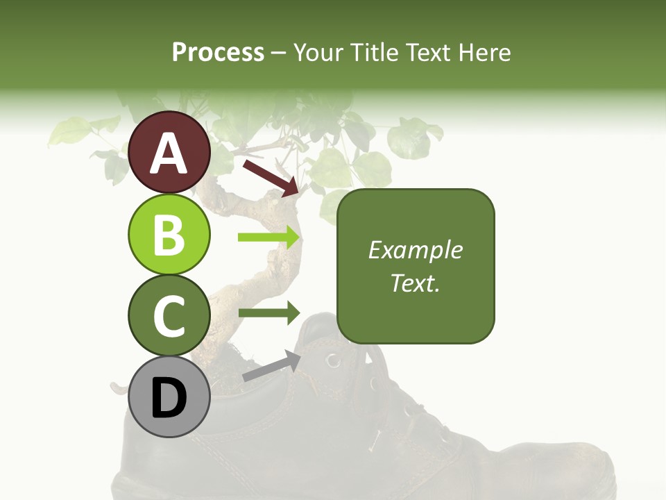 Plant Bonsai Zen PowerPoint Template