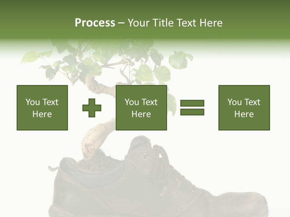Plant Bonsai Zen PowerPoint Template