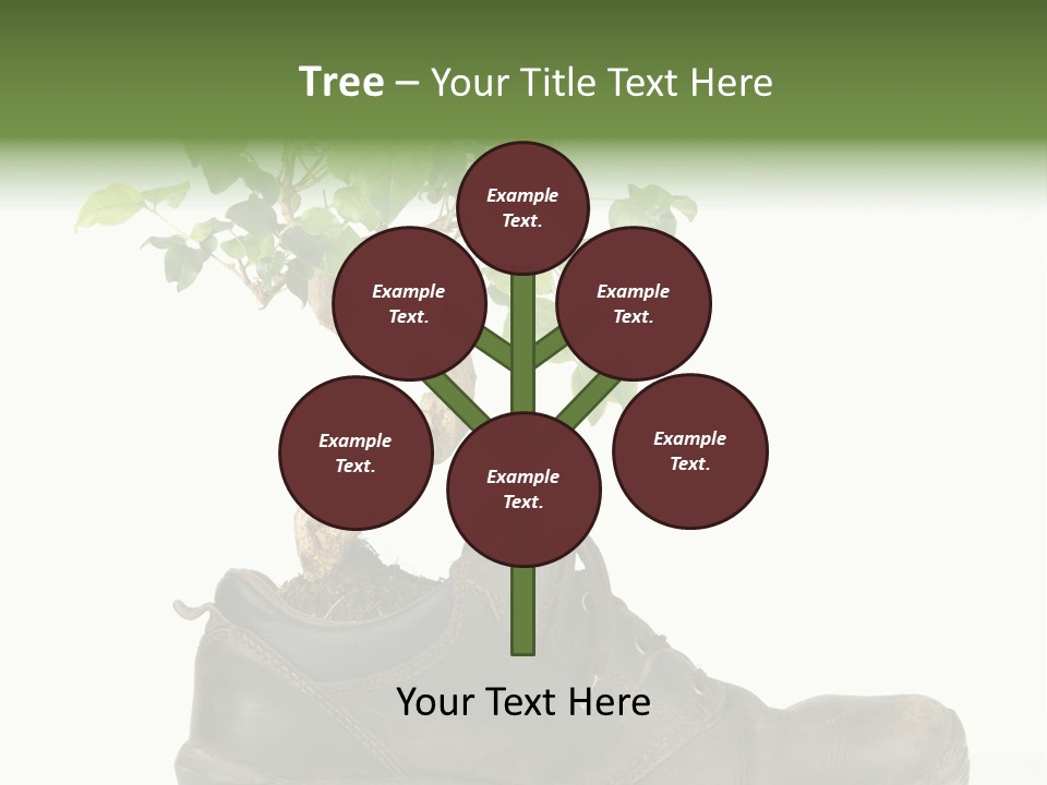 Plant Bonsai Zen PowerPoint Template