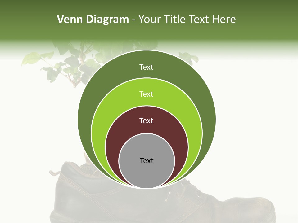 Plant Bonsai Zen PowerPoint Template