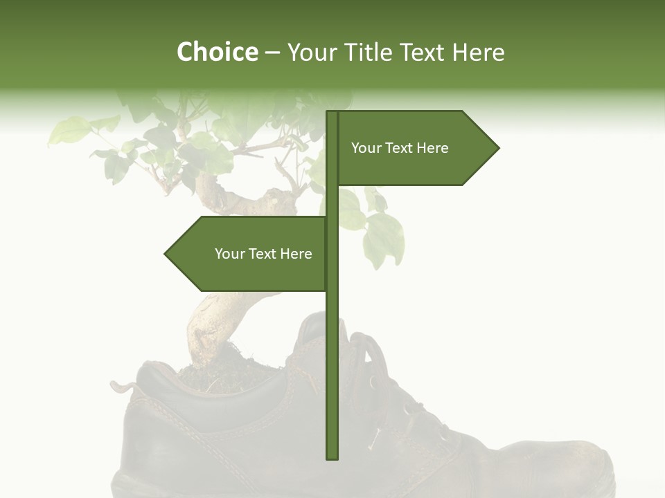 Plant Bonsai Zen PowerPoint Template