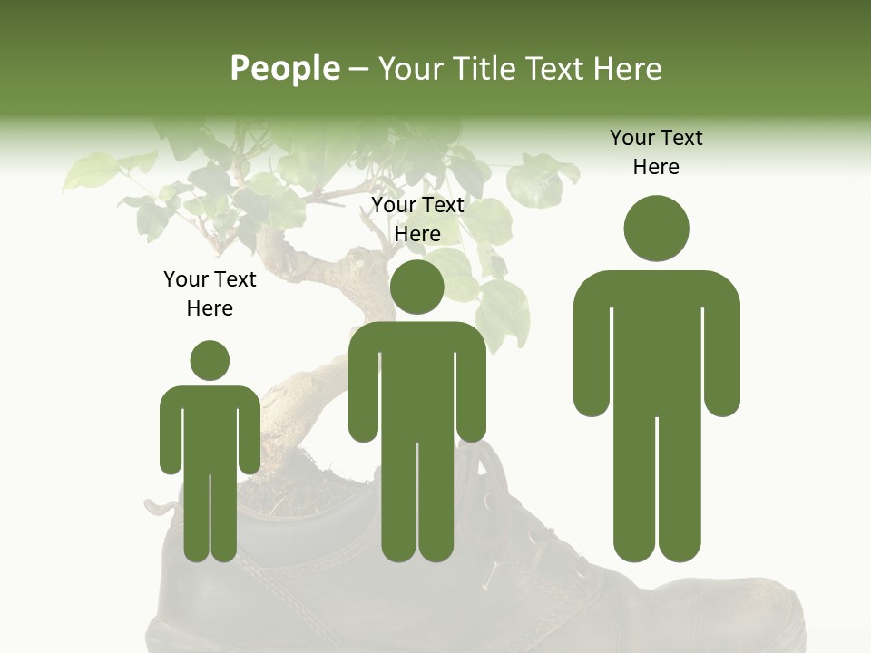 Plant Bonsai Zen PowerPoint Template