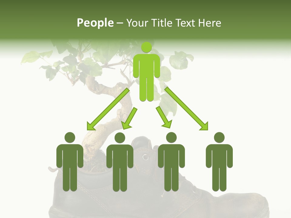 Plant Bonsai Zen PowerPoint Template