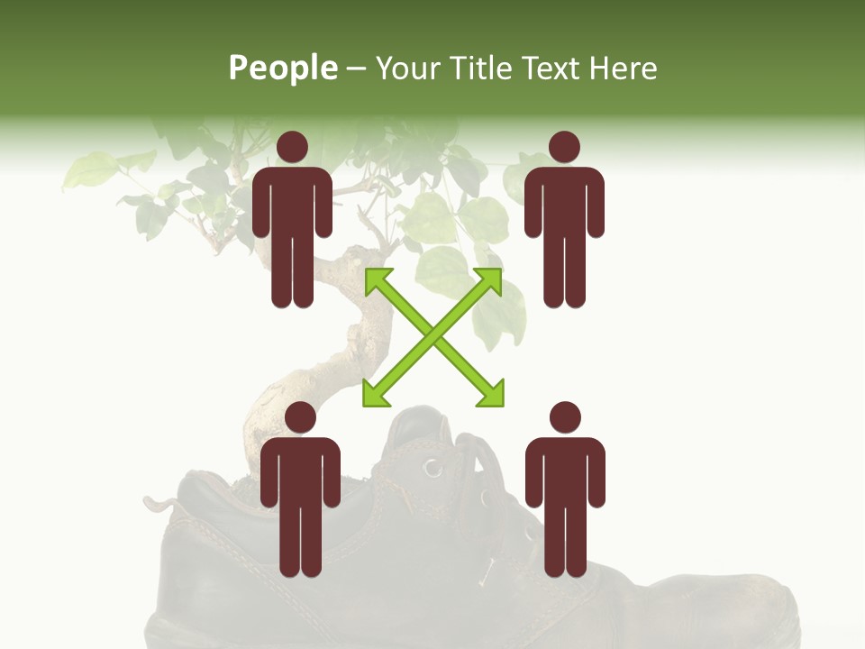 Plant Bonsai Zen PowerPoint Template