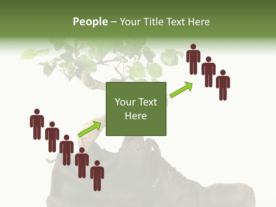 Plant Bonsai Zen PowerPoint Template