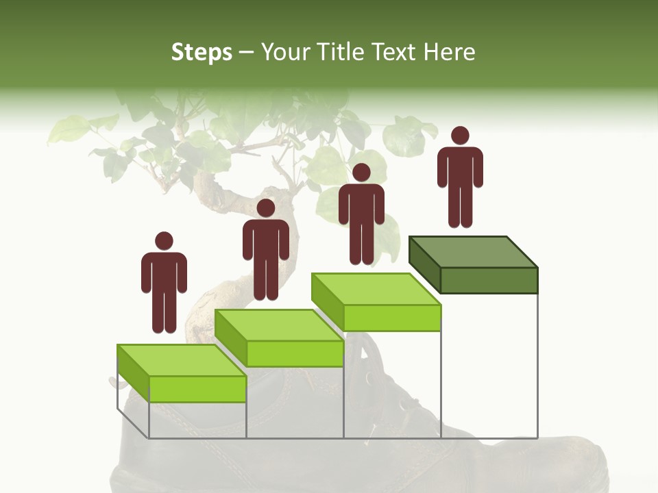 Plant Bonsai Zen PowerPoint Template