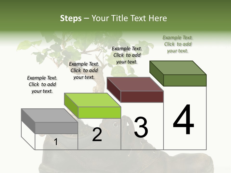 Plant Bonsai Zen PowerPoint Template