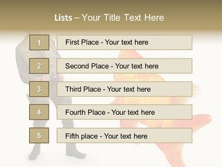 Fish Happy Hunting PowerPoint Template