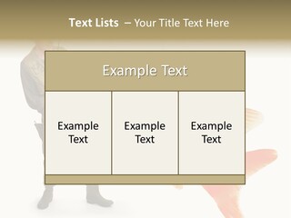 Fish Happy Hunting PowerPoint Template