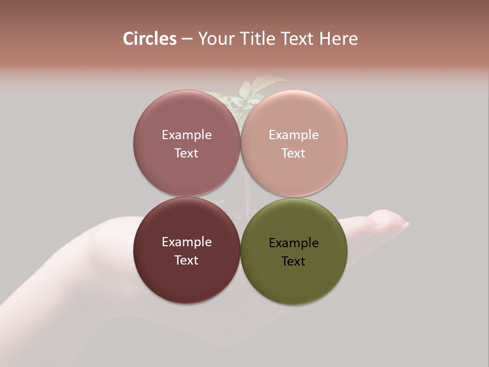 Fertile Grow Symbol PowerPoint Template