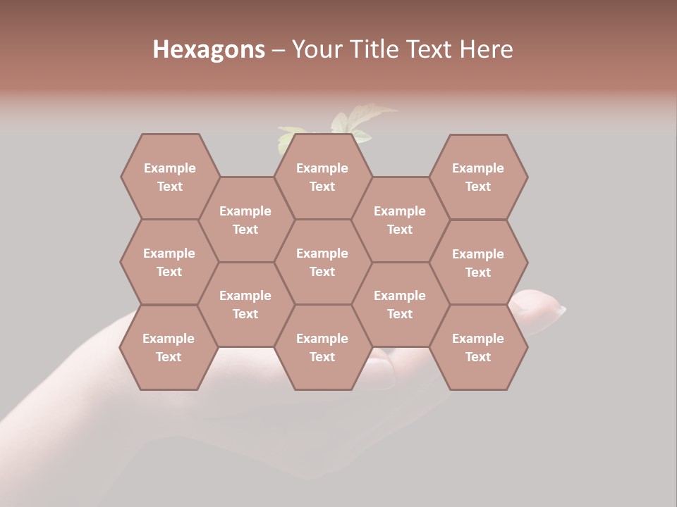 Fertile Grow Symbol PowerPoint Template