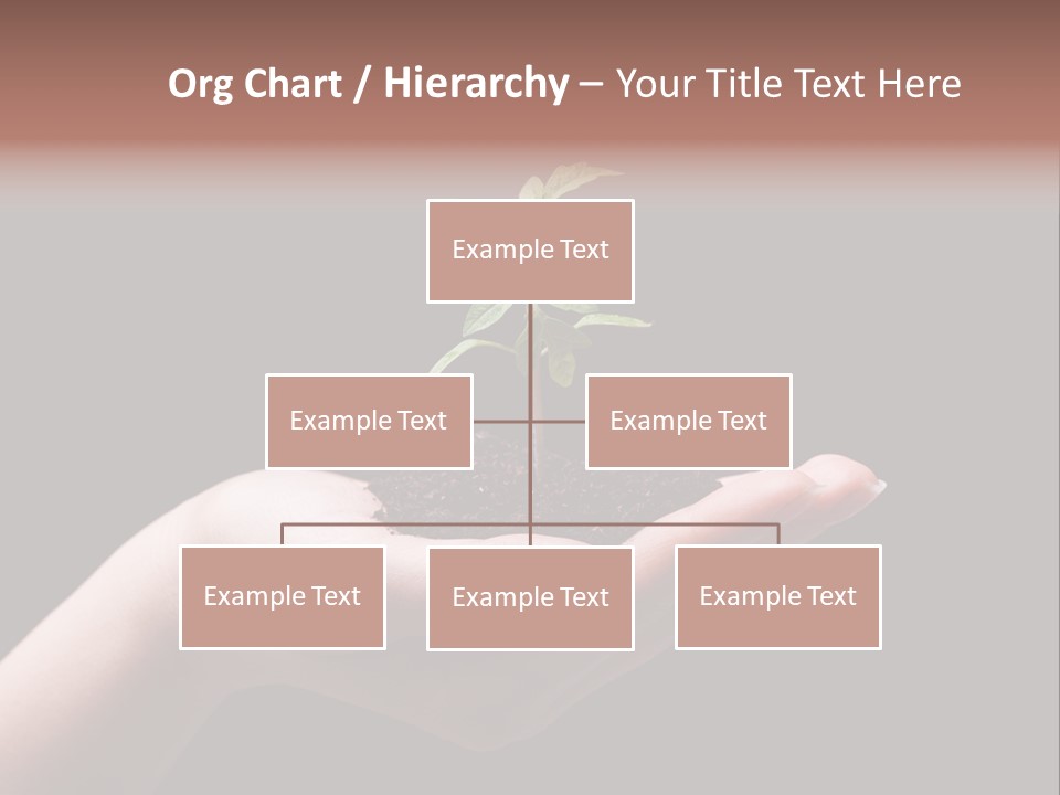 Fertile Grow Symbol PowerPoint Template