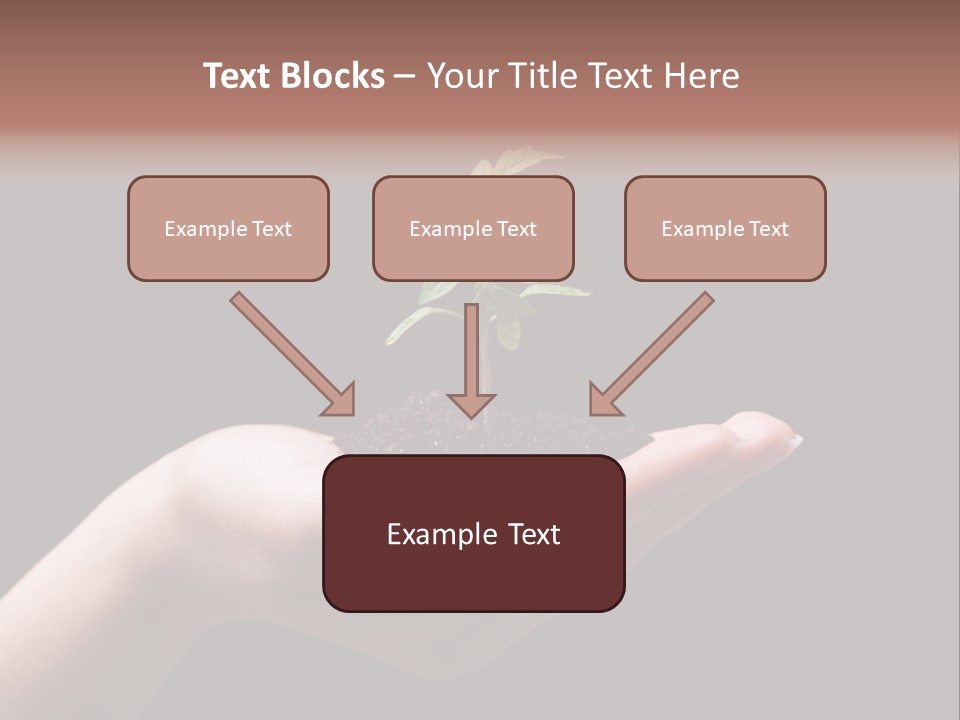 Fertile Grow Symbol PowerPoint Template
