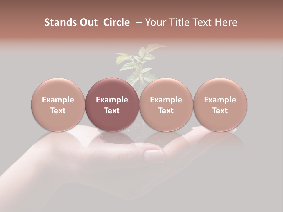 Fertile Grow Symbol PowerPoint Template