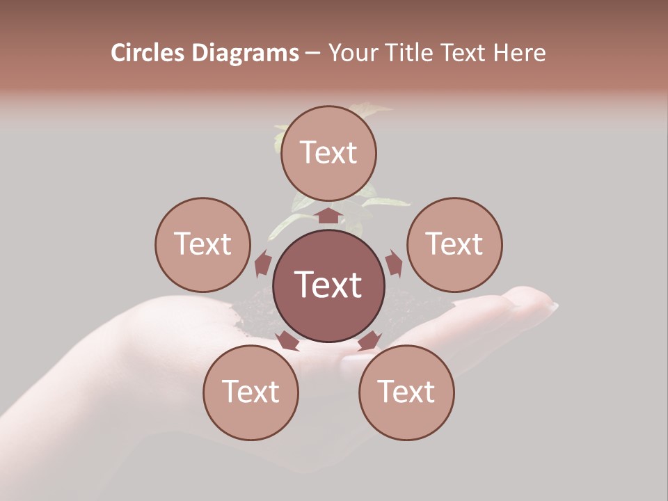 Fertile Grow Symbol PowerPoint Template