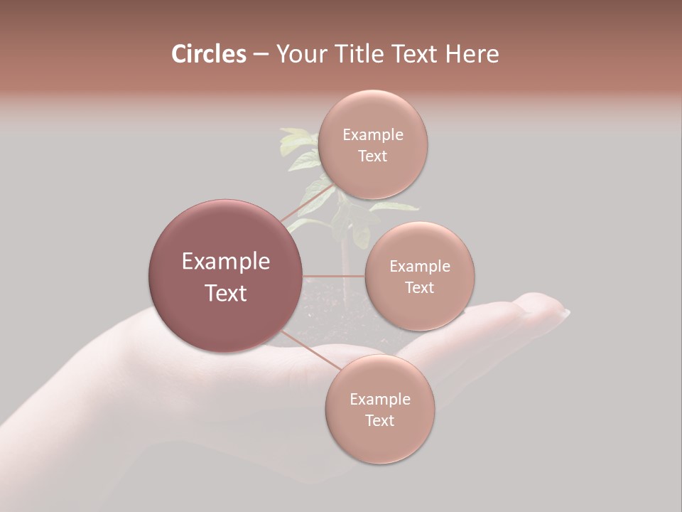 Fertile Grow Symbol PowerPoint Template