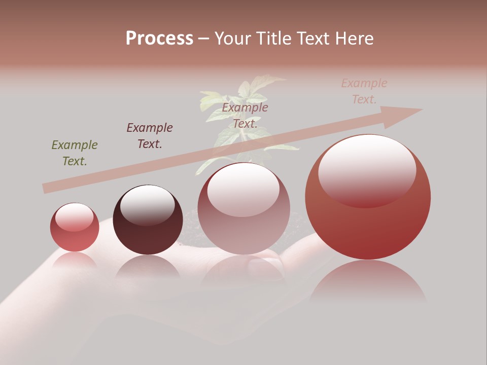 Fertile Grow Symbol PowerPoint Template