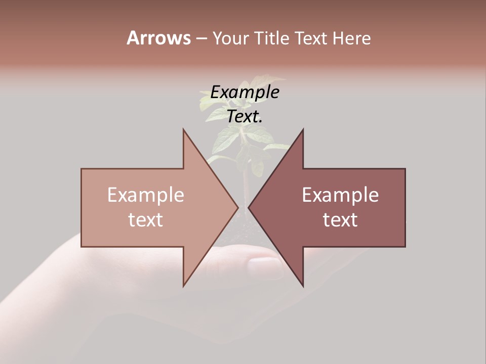 Fertile Grow Symbol PowerPoint Template