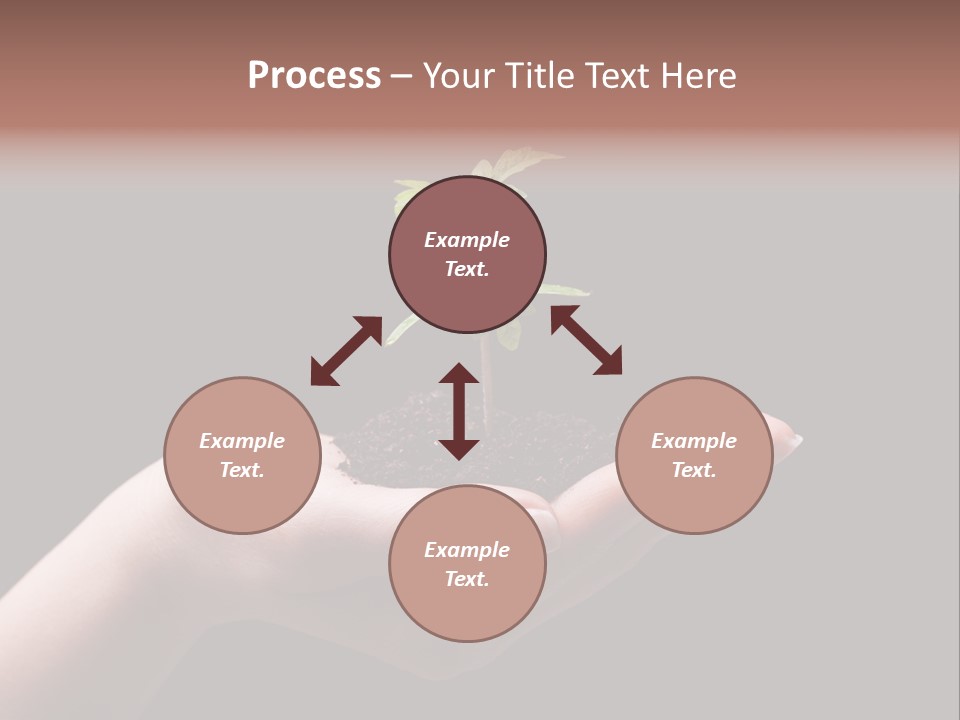 Fertile Grow Symbol PowerPoint Template