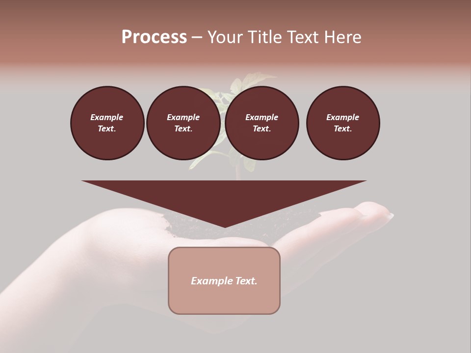 Fertile Grow Symbol PowerPoint Template