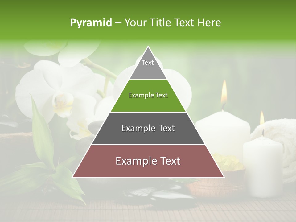 Tropical Close Up Plant PowerPoint Template