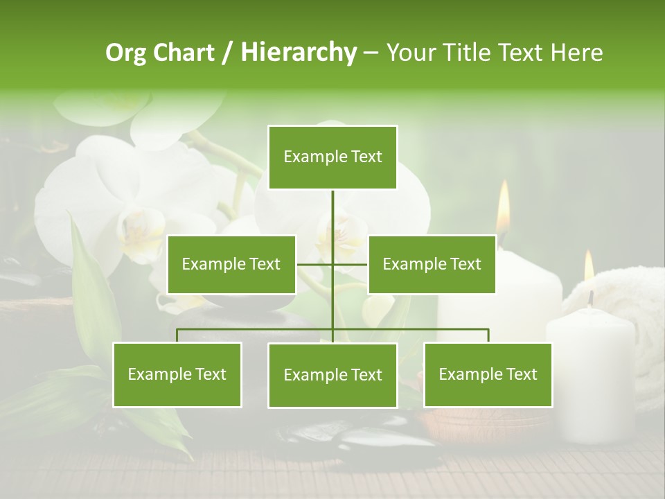 Tropical Close Up Plant PowerPoint Template