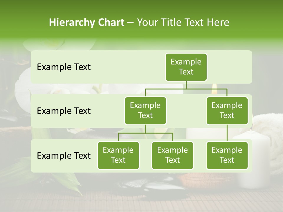 Tropical Close Up Plant PowerPoint Template