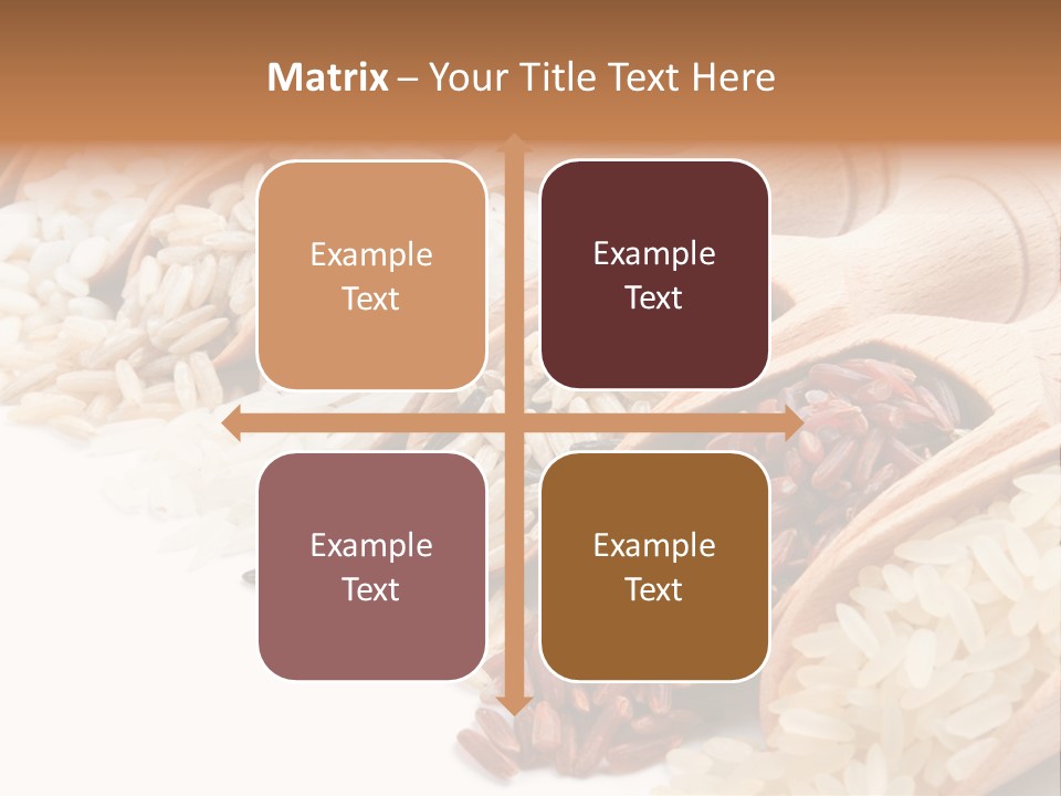 Collection Grain Wooden PowerPoint Template