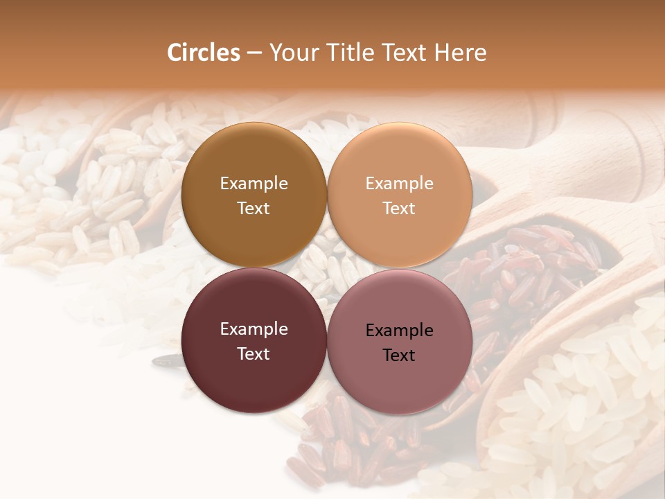 Collection Grain Wooden PowerPoint Template