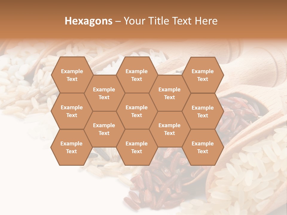 Collection Grain Wooden PowerPoint Template