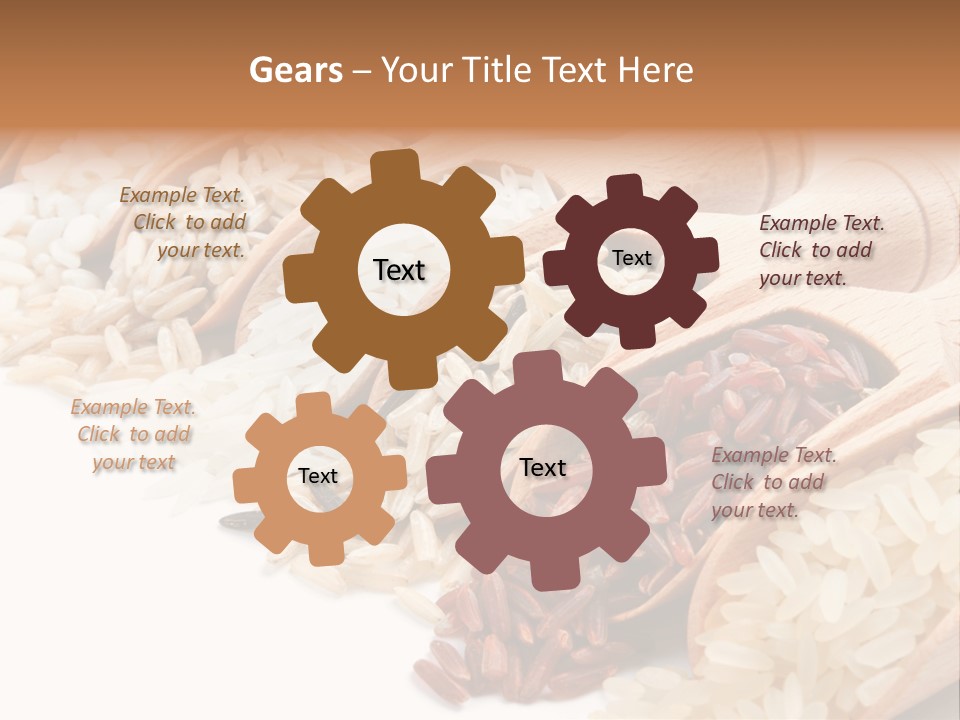 Collection Grain Wooden PowerPoint Template