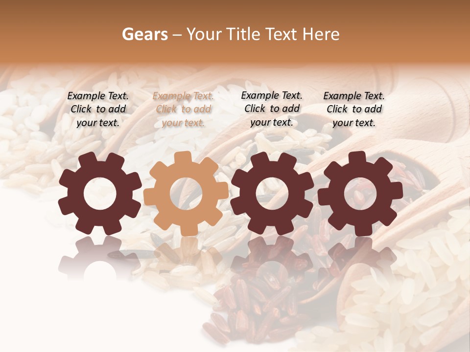 Collection Grain Wooden PowerPoint Template