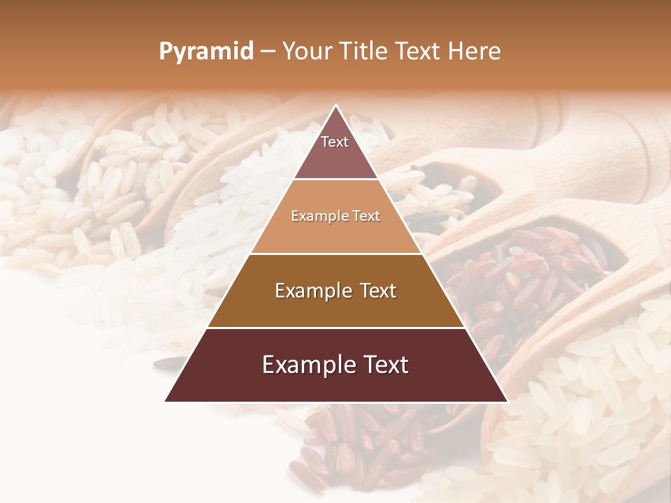 Collection Grain Wooden PowerPoint Template