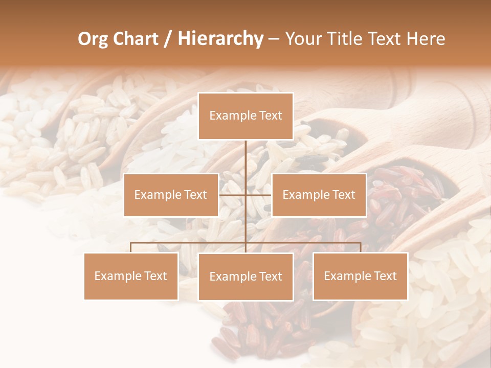 Collection Grain Wooden PowerPoint Template