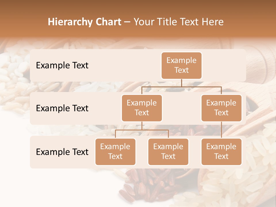 Collection Grain Wooden PowerPoint Template