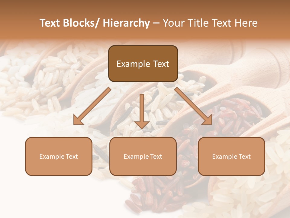 Collection Grain Wooden PowerPoint Template