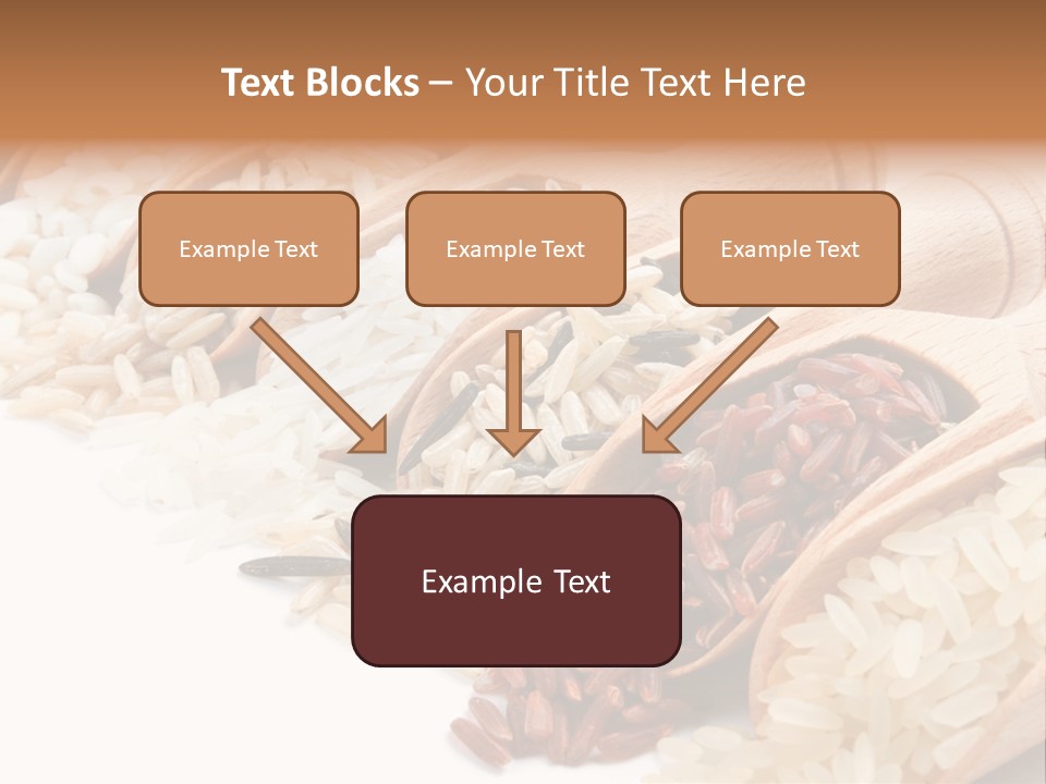 Collection Grain Wooden PowerPoint Template